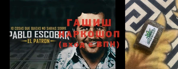 стаф Алексин