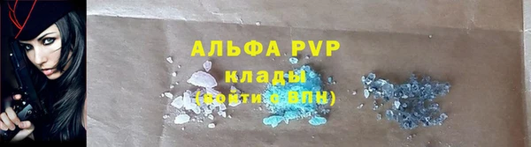 стаф Алексин