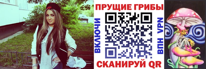 mega ONION  Орлов  Псилоцибиновые грибы Psilocybine cubensis 